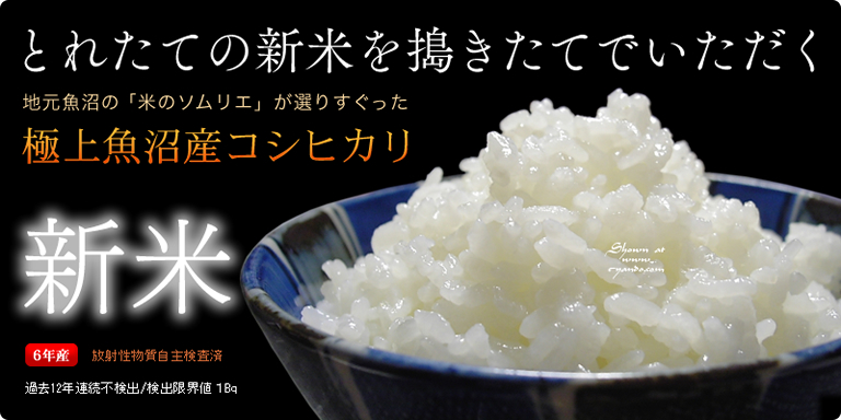 魚沼産コシヒカリ 【旨味の極味e-yando!】 産地直送極上品限定販売